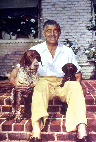 with his dogs